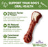 WHIMZEES by Wellness Value Box 24 Count | Long Lasting Natural Grain Free Dog Chews for Dogs 40-60 Lbs