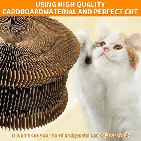 1Pack 1Pack Kitty Curls Cat Accordion Physical Exercise for Indoor Cats Toy Magic Organ Thickened Kitty Head Organ