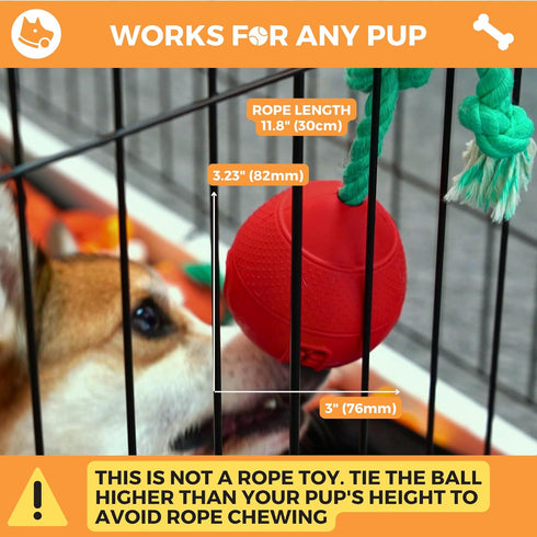 Fossa 4-in-1 Crate Entertaining Puzzle Chew Toy for Dogs, Upgrade Crate Training Aids, Food Treat Dispensing Toy