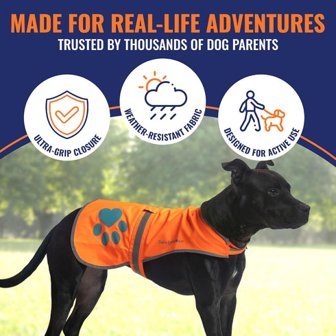 Reflective Dog Vest, Hi-Visibility Fluorescent Blaze Orange Vest to Protect Your Dog from Motorists & Hunting Accidents