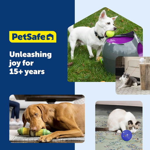 2 PetSafe Zoom Rotating Laser Cat Toy Includes Interactive Laser Lights