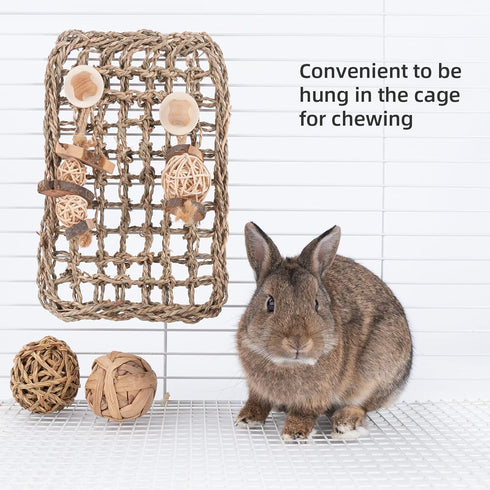andwe Seagrass Protector Mat with Toys for Rabbit, Bunny, Chinchilla, Guinea Pigs, 11 X 7.87-inch