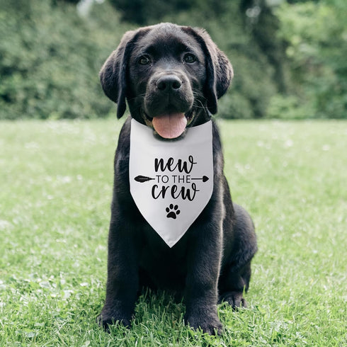 New to The Crew Dog Bandana New Puppy Announcement Gift for New Owners Puppy Bandana Dog Owner Gifts Triangle Bibs