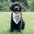 New to The Crew Dog Bandana New Puppy Announcement Gift for New Owners Puppy Bandana Dog Owner Gifts Triangle Bibs