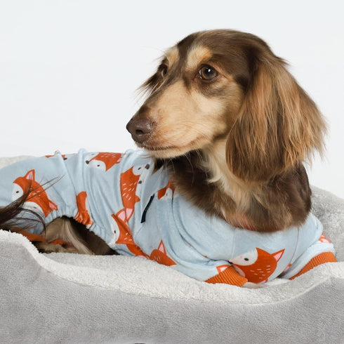 Fitwarm Funny Fox Dog Pajamas, Warm Dog Onesie for Small Dogs, Lightweight Velvet Pet Outfit, Gray, Orange, XL