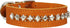 Thick Genuine Leather Spiked Studded Dog Collar - Brown, Fits 18"-22" Neck for Retriever, Doberman, Rottweiler, Pitbull