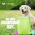Gnawsome 2.5 100% Dog Toys - Spiky Squeaker Ball - Small - Dental & Gum Wellness - Stimulating Fun - Hidden Squeaker