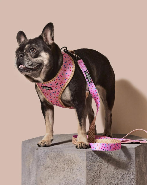 Ruffhaus NYC Pink Sprinkles Dog Leash, Ice Cream and Waffle Cone Print, Girl Dog Birthday Puppy Leash, Comfort Dog