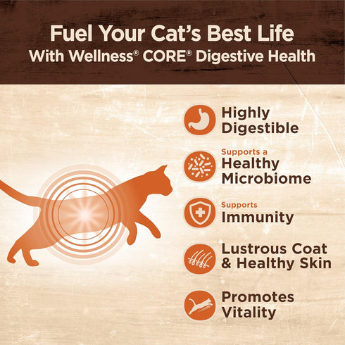 Wellness CORE Digestive Health Probiotic Coated High Protein Dry Cat Food, Salmon & Rice Recipe, 5 Pound Bag