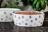 Pearhead Dog Faces Pet Bowl - Ceramic Dog Water and Food Dish, Microwave & Dishwasher Safe, Holds 9 Cups