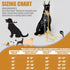 Cuban Link Dog Chain Collar, 12mm with Secure Snap, Bell & Dog Tag, Stainless Steel 18K Gold for Puppy, Small, Medium,
