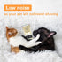 Trimmer, 2000MA FrutPunch Dog Grooming Kit, Cordless Dog Clippers, Electric Shaving, Low Noise Rechargeable Dogs Hair