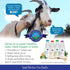Freeze Dried Raw Goat's Milk with Probiotics for Dogs & Cats, Organic USA Veggies & Fruits, High Protein Toppers