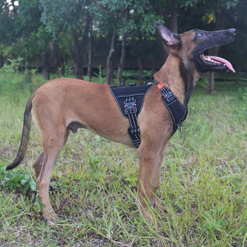 ICEFANG GN8 Tactical Dog Harness, Reflective Training Walking K9 Vest, No-Pull Front Leash Clip, Adjustable (Black,