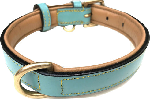 Medium Size Leather Dog Collar - Turquoise with Beige Padding