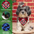 4 Pack Christmas Dog Scarves - Plaid Triangle Bandanas for Small to Large Dogs and Cats - Holiday Gift Set