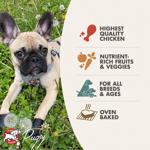 Fromm Four-Star Nutritionals Chicken with Peas & Carrots Dog Treats, 8 oz
