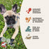 Fromm Four-Star Nutritionals Chicken with Peas & Carrots Dog Treats, 8 oz