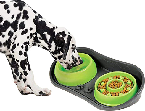 Non-Skid Pet Bowl Tray with 2 Slow Down Bowls Set - For Small to Medium Dogs