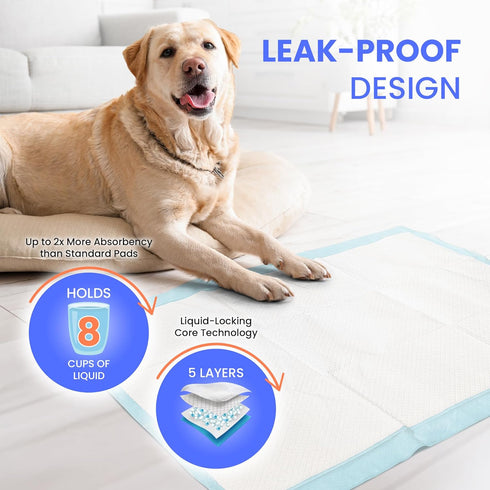 (60 Pack) 8 28x34 Reli. Leak-Proof Puppy Pads | Pee Pads for Dogs | Cups Absorbency for Multiple Dog & Pet Potty