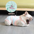 PUMYPOREITY Escape Proof Dog Diapers - Reusable & Washable, Suitable for French Bulldogs & Both Male & Female Dogs