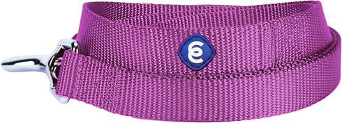Blueberry Pet Essentials Durable Classic Dog Leash - Basic Nylon Dog Leash - 5ft. x 5/8" Small Dog Leash - Violet