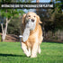 Hyper Pet Doggie Tail Interactive Plush Automatic Dog Toys, Durable, Wiggles, Vibrates, and Barks, Batteries Included