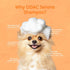 10.14 oz Daily Low-Irritation ODAC Derma Serene pet Shampoo, Korean Pet Skincare, Gentle Daily Cleanse with Winter