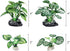 4PCS Aquarium Plants Betta Fish Tank Decorations Small Size Soft Faux Silk Aquarium for Hiding Fish Reptil by Vtapliea