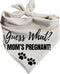 Generic Guess What? Mom's Pregnant Dog Bandanas Baby Announcement Pregnancy Announcement Oatmeal Beige