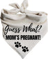 Generic Guess What? Mom's Pregnant Dog Bandanas Baby Announcement Pregnancy Announcement Oatmeal Beige