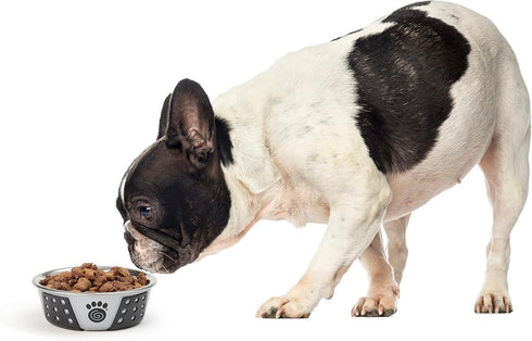PetRageous 13097 Fiji Stainless Steel Non-Slip Dog Bowl 1.75-Cup Capacity, 5.5-inch Diameter, Light Grey and Black
