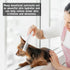Pet Silk Rainforest Clean Scent Shampoo, 16oz, Long-Lasting Fragrance for Dogs & Cats, Gentle & Safe