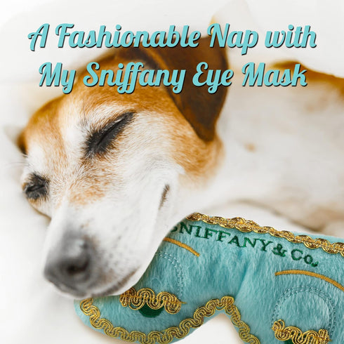 Dog Diggin Designs Runway Pup Collection, Unique Squeaky Plush Dog Toys, Fashion Accessories