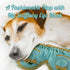 Dog Diggin Designs Runway Pup Collection, Unique Squeaky Plush Dog Toys, Fashion Accessories