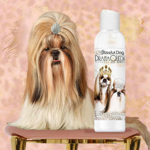 8 oz. The Blissful Dog Shih Tzu Drama Queen Dog Shampoo