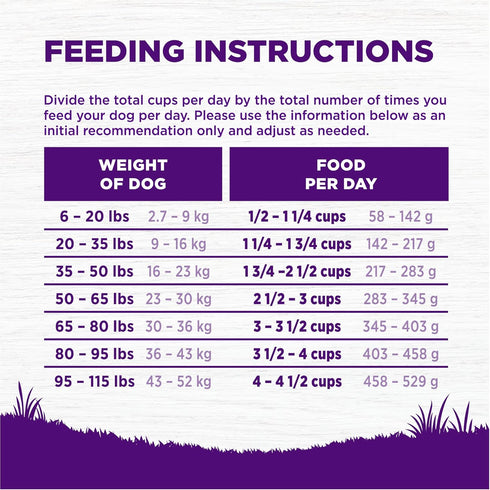 Wellness Complete Health Senior Dry Dog Food with Grains, Chicken & Barley, 5 lb Bag