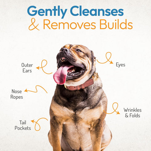 Wrinkle Wipes for Dogs - 100 Count Dog Wipes for French Bulldog, English Bulldog, Pugs - Cleaning & Soothes