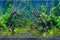 AWERT 72x24 inches Tropical Fish Tank Background - River Bed & Lake Aquatic Plant Undersea Tree Branch Vinyl