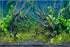 AWERT 72x24 inches Tropical Fish Tank Background - River Bed & Lake Aquatic Plant Undersea Tree Branch Vinyl
