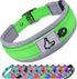 Joytale Neoprene Padded Dog Collar for Small Dogs, Reflective Wide Collar with Durable Metal Buckle, Green