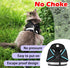 Adjustable Reflective Soft Mesh Vest Cat and Puppy Harnesses with Leashes Set, Escape Proof Outdoor Harness for Kittens