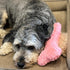 SPOT Soothers Warm Hug Bone, Calming Plush Dog Toy with Lavender Beads for Small to Medium Dogs