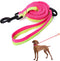 Mile High Life Bungee Dog Leash, Gentle Pull Training Lead, Soft Comfort Texture, 3-5 Feet for Dogs/Cats