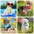 50 Summer Chunful Pcs Dog Bandanas Bulk Flora Dog Bandanas Pet Triangle Scarf Bib Seasonal Pet Costume Adjustable Cat