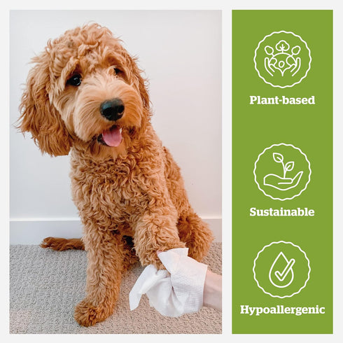 Pogi's Dog Grooming Wipes, 100 Plant-Based, Hypoallergenic Wipes for Cleaning and Deodorizing