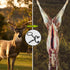 Highwild Game Skinning Claw Hide Puller Skinning Tool - Deer Skinner, Butcher Hide Puller