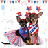 4th of July Dog Costume Accessories - 6 Pieces Includes Bandanas, Tulle Tutu, Patriotic Headbands for Dogs