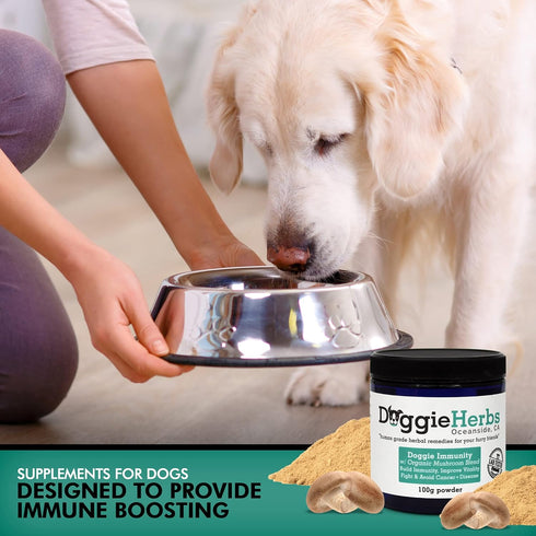 Certified Organic Immunity Mushroom Mix for Dogs, 100g Dog Supplement with 22.3% Beta Glucan