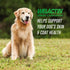 3 Immune, 3 16 Nutramax Welactin Omega Fish Oil for Dogs, Skin and Coat Health Supplement, Plus Joint, Kidney